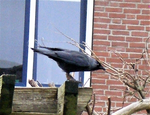 P2054729