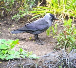 P5080008