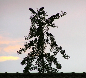 P5310010
