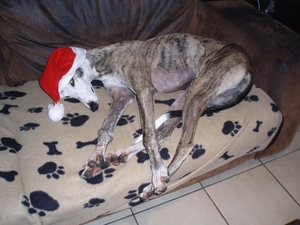 oef,rust na de feestdagen