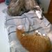 Samen gezellig