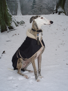 januari 2009 005