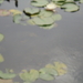 P5070032