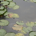 P5070033