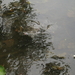P5070035