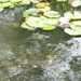 P5070037