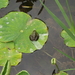 P5070038