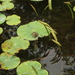 P5070039