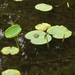 P5070040