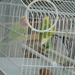 P5080056