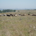 P5150138