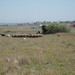 P5150139