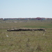 P5150140