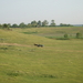 P5160152