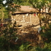 P5160155