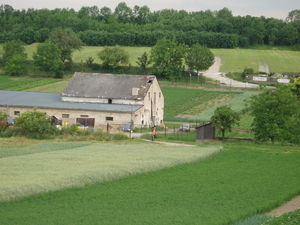 P6090338