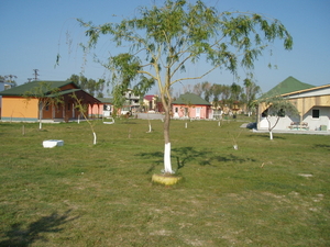 P5130085