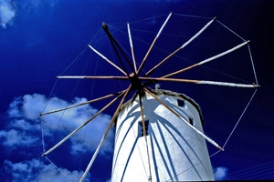Image4