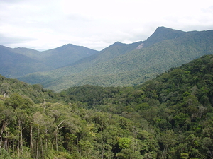 MALEISIE CAMERON HIGHLANDS