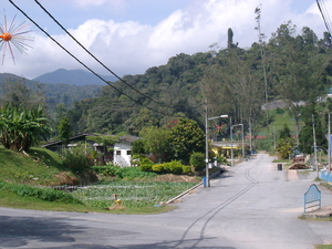 MALEISIE CAMERON HIGHLANDS