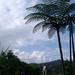 MALEISIE CAMERON HIGHLANDS