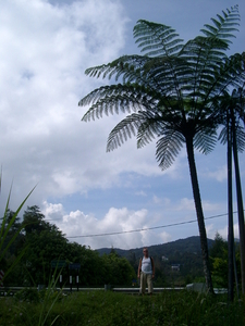 MALEISIE CAMERON HIGHLANDS