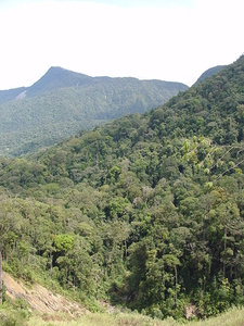 MALEISIE onderweg v CAMERON HIGHLANDS nr PENANG