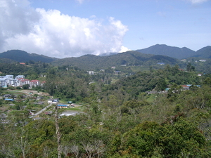 MALEISIE CAMERON HIGHLANDS