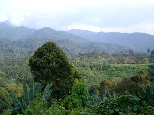 MALEISIE van KL nr CAMERON HIGHLANDS