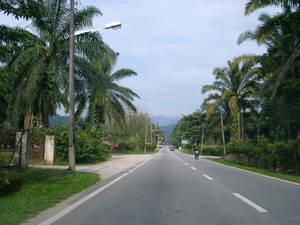 MALEISIE van KL nr CAMERON HIGHLANDS