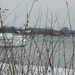 2010-02-11winter molsbroek 011