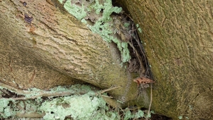 P1050586