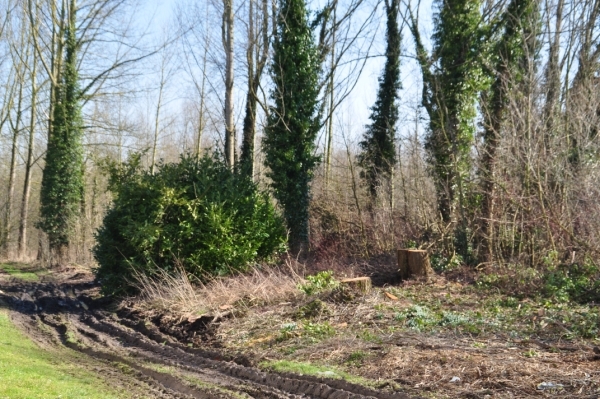 DSC_0214 DE NATUUR ROND DE BARONIE VAN BOELARE!