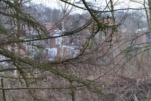 DSC_0384
