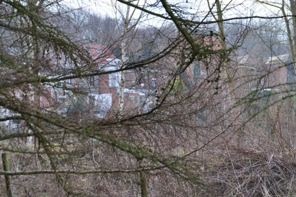 DSC_0384