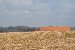 DSC_0807
