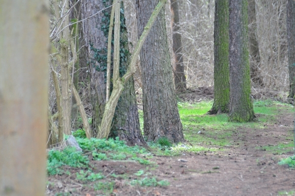 DSC_1009