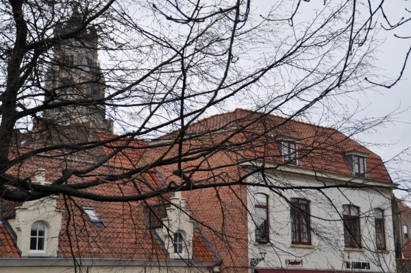 DSC_1016