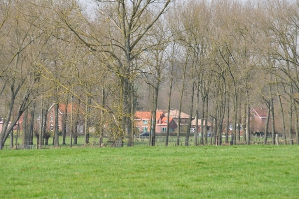 DSC_1129