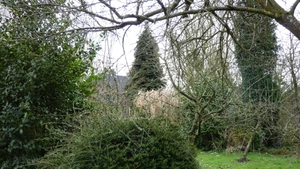 P1050801