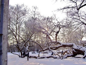 Winter in Tienen