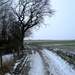 2010_02_14 Elingen 07