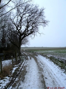2010_02_14 Elingen 07