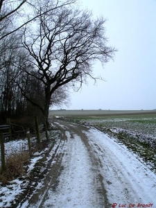 2010_02_14 Elingen 07