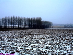 2010_02_14 Elingen 08