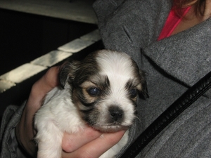 IMG_4422