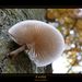 herfst