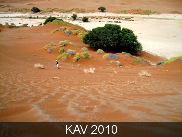 namibië dag 6 (36)