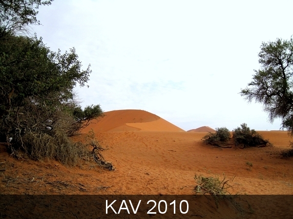 namibië dag 6 (40)