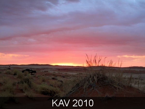 namibië dag 6 (138)